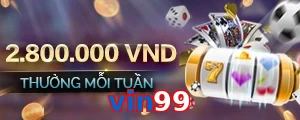 vin99