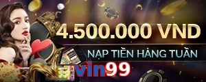 vin99